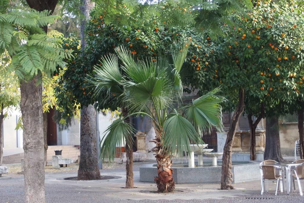 Apartaluz Centro Córdoba Arqueologico Balcon Exterior foto